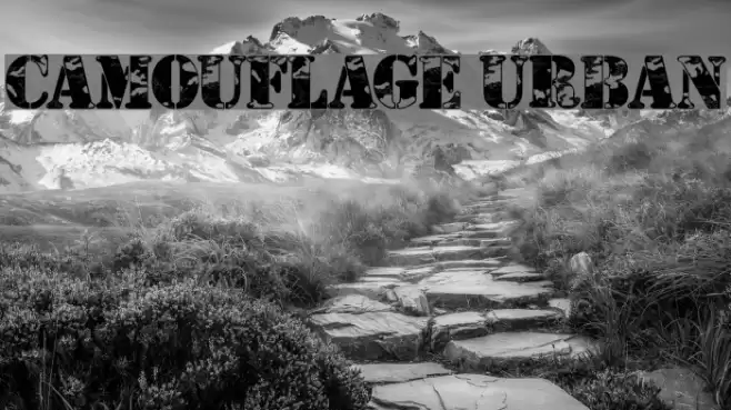 Camouflage Urban Font examples