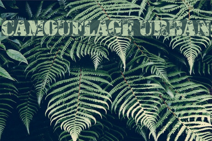 Camouflage Urban Schriftart examples
