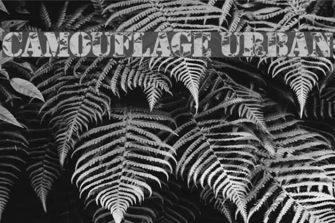 Camouflage Urban Font examples
