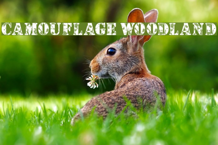 Camouflage Woodland Font examples
