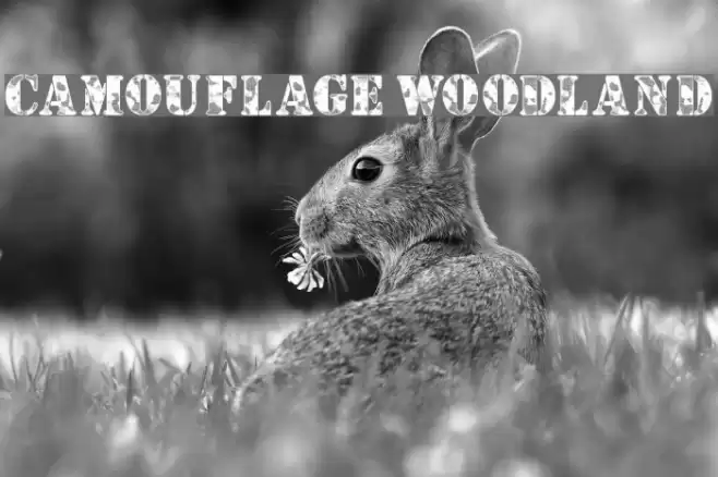 Camouflage Woodland Caratteri examples