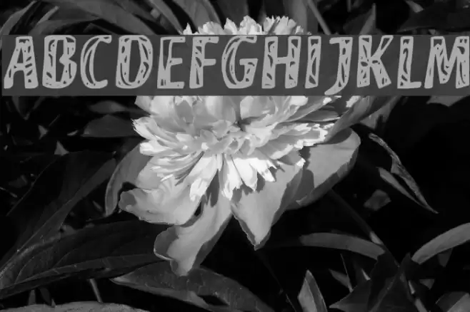 Camouflage Font examples