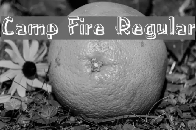 Camp Fire Regular Font examples