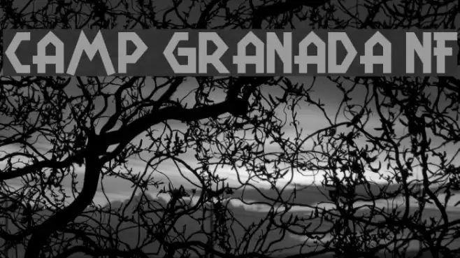 Camp Granada NF Font examples
