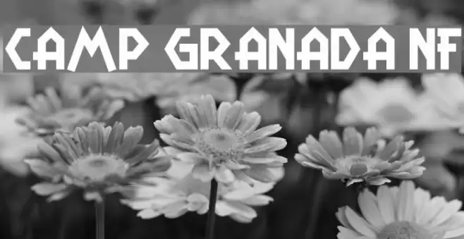 Camp Granada NF Font examples