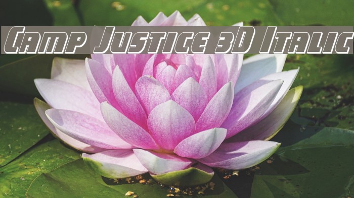 Camp Justice 3D Italic Font examples