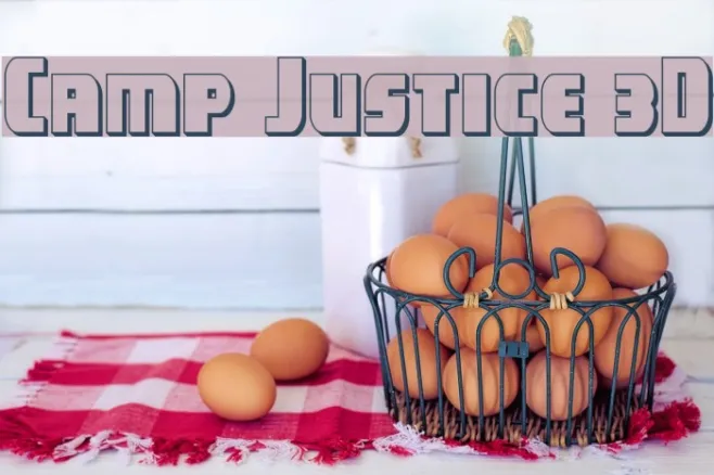 Camp Justice 3D Example 2