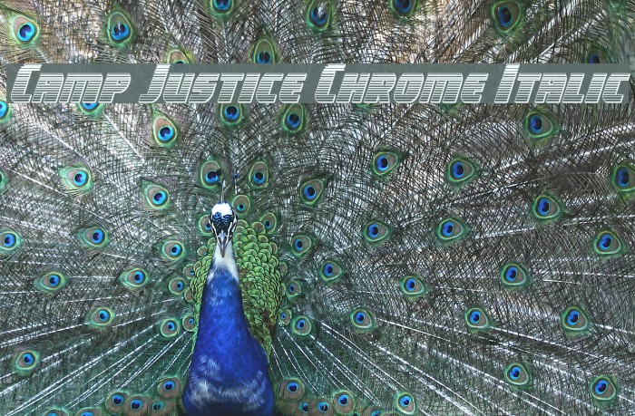 Camp Justice Chrome Italic Example 3