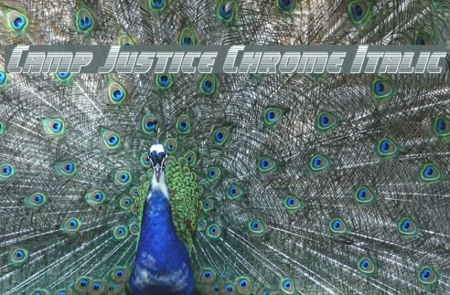 Camp Justice Chrome Italic Example 3