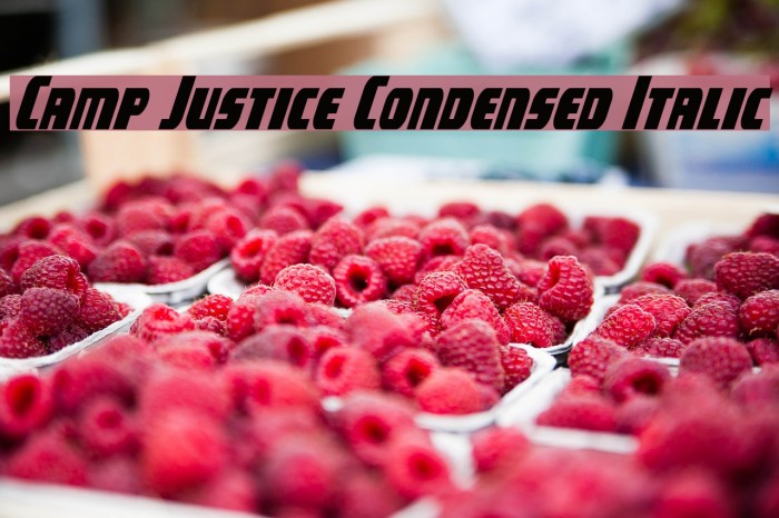 Camp Justice Condensed Italic Example 3