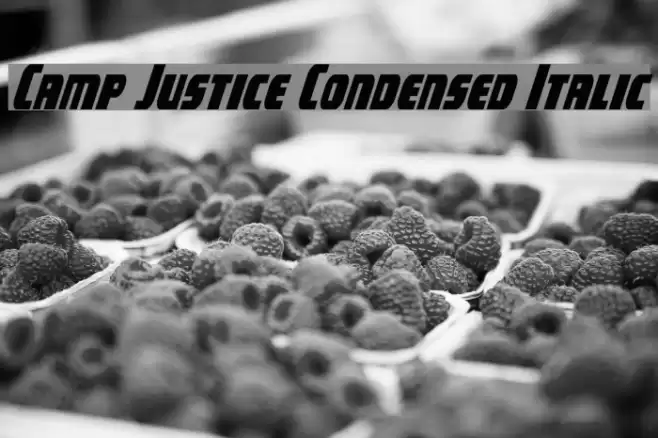 Camp Justice Condensed Italic Font examples