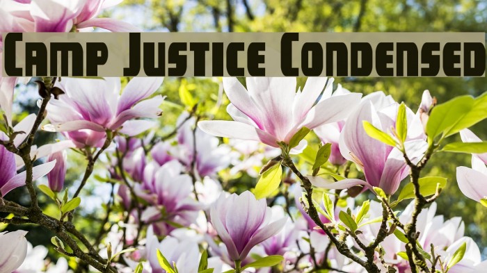 Camp Justice Condensed Example 1