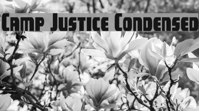 Camp Justice Condensed Font examples