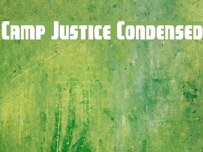 Camp Justice Condensed Example 2