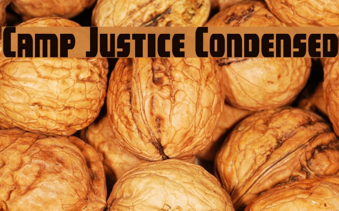 Camp Justice Condensed Example 3