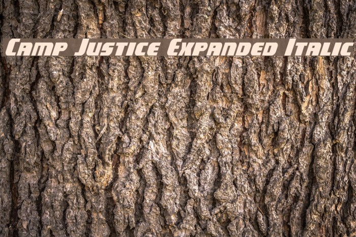 Camp Justice Expanded Italic Example 2