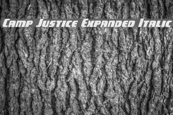 Camp Justice Expanded Italic Font examples