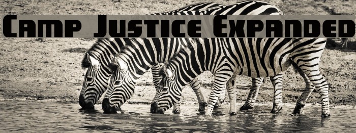 Camp Justice Expanded Example 1