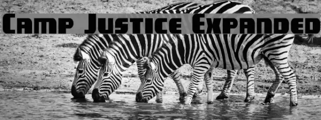 Camp Justice Expanded Font examples