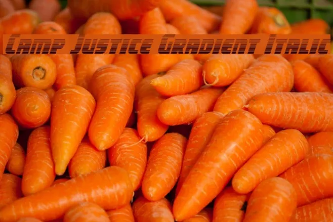 Camp Justice Gradient Italic Example 2