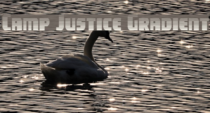 Camp Justice Gradient Example 3