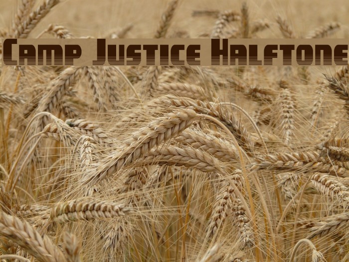 Camp Justice Halftone Font examples