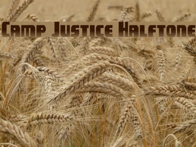 Camp Justice Halftone Example 2