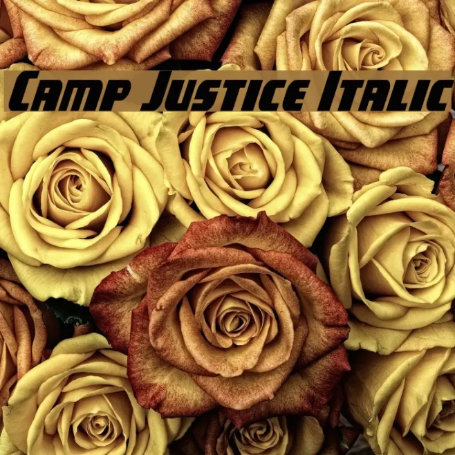 Camp Justice Italic Example 1