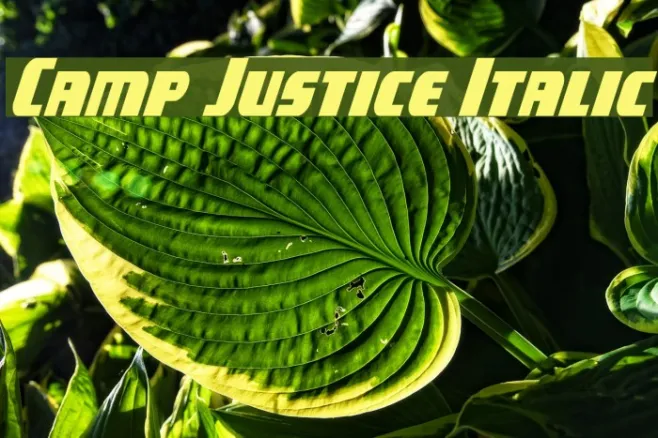 Camp Justice Italic Example 2