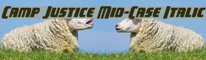 Camp Justice Mid-Case Italic Font examples