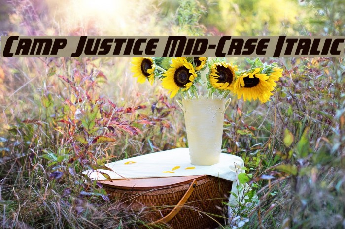 Camp Justice Mid-Case Italic Font examples