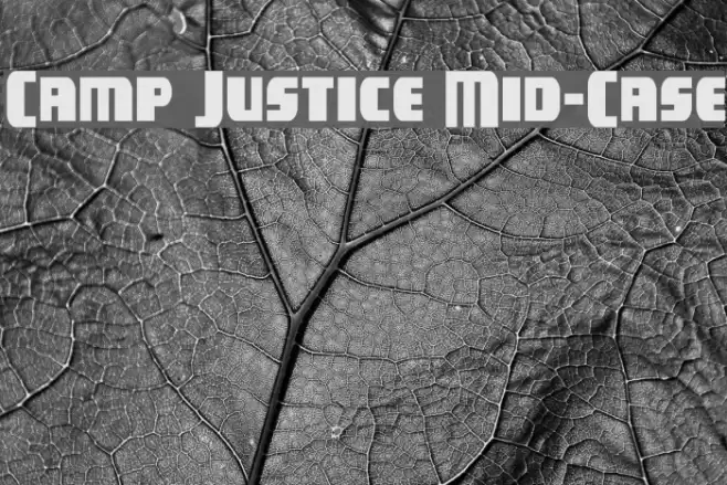 Camp Justice Mid-Case Font examples