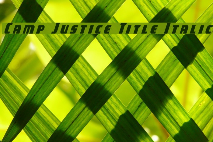 Camp Justice Title Italic Example 3