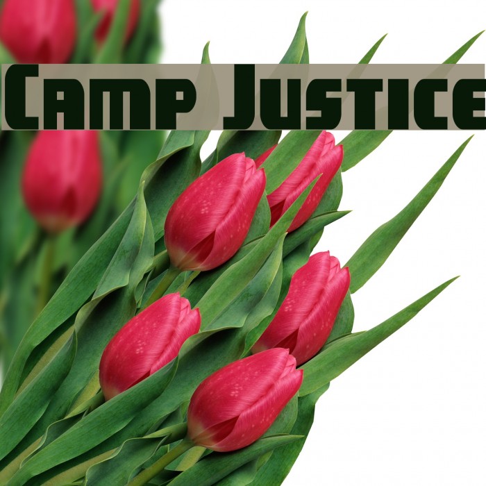 Camp Justice Font examples