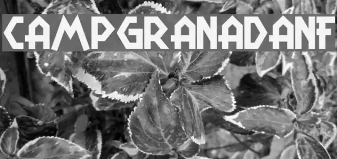 CampGranadaNF Font examples