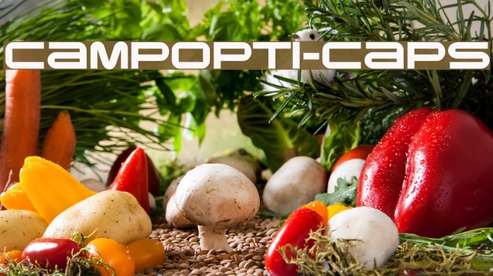 CampOpti-Caps Font examples