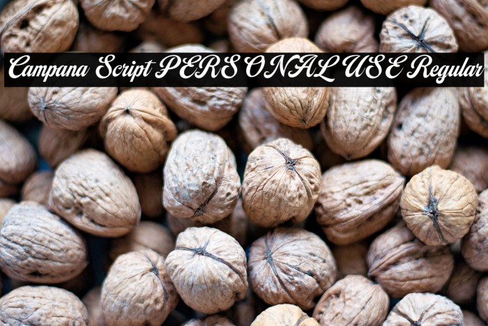 Campana Script PERSONAL USE Regular Example 1