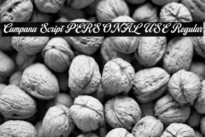 Campana Script PERSONAL USE Regular Font examples