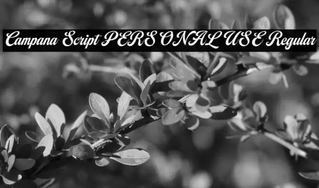 Campana Script PERSONAL USE Regular Font examples