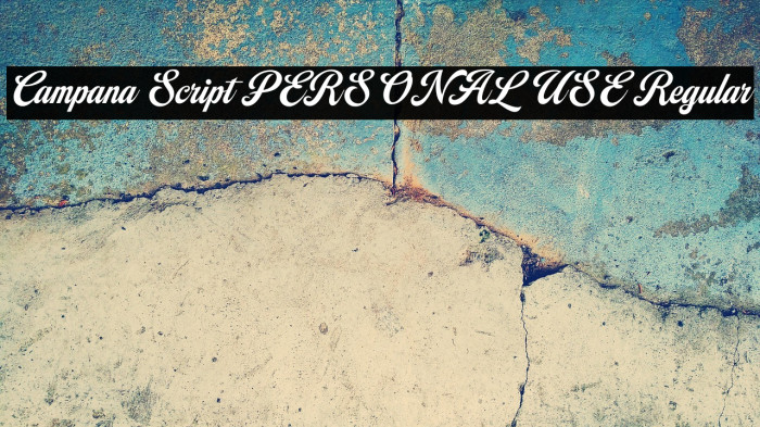 Campana Script PERSONAL USE Regular Example 3