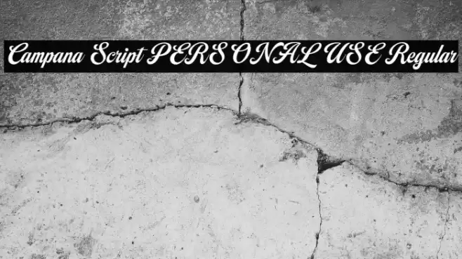 Campana Script PERSONAL USE Regular Font examples