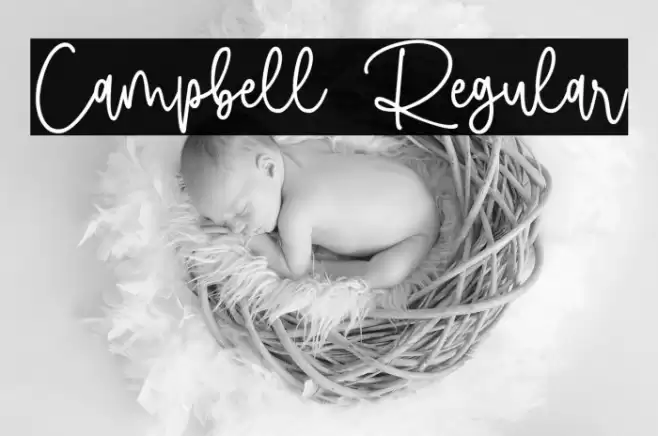 Campbell Regular Font examples