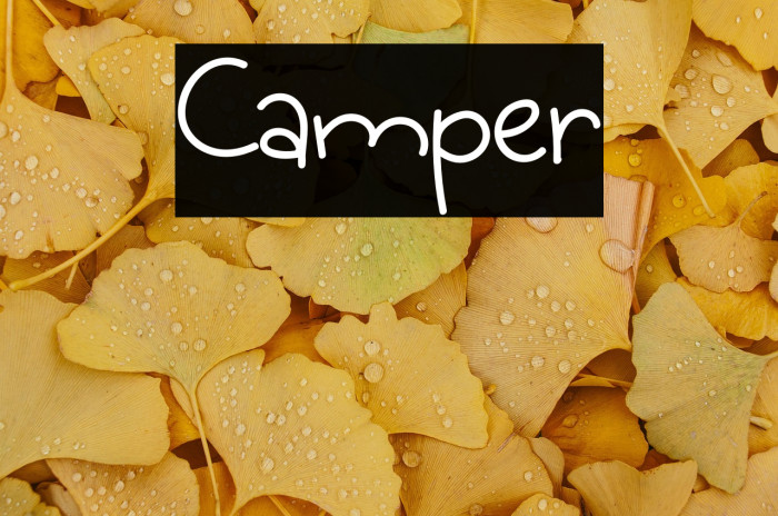 Camper Example 1