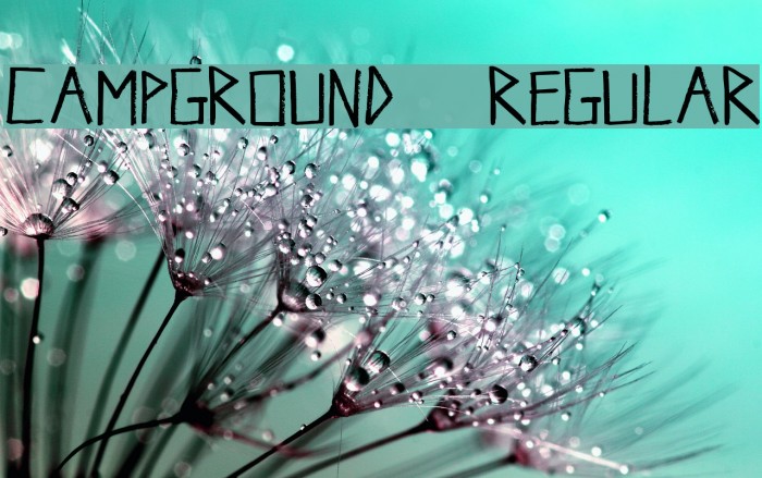 Campground-Regular Шрифта examples