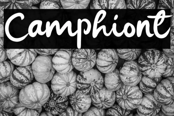 Camphiont Caratteri examples