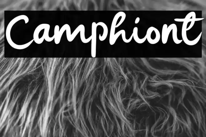 Camphiont Caratteri examples