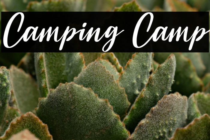 Camping Camp Example 2