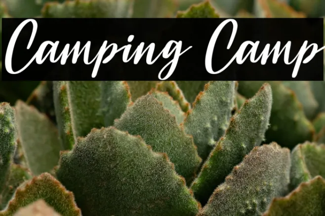 Camping Camp Example 2