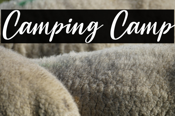 Camping Camp Example 3