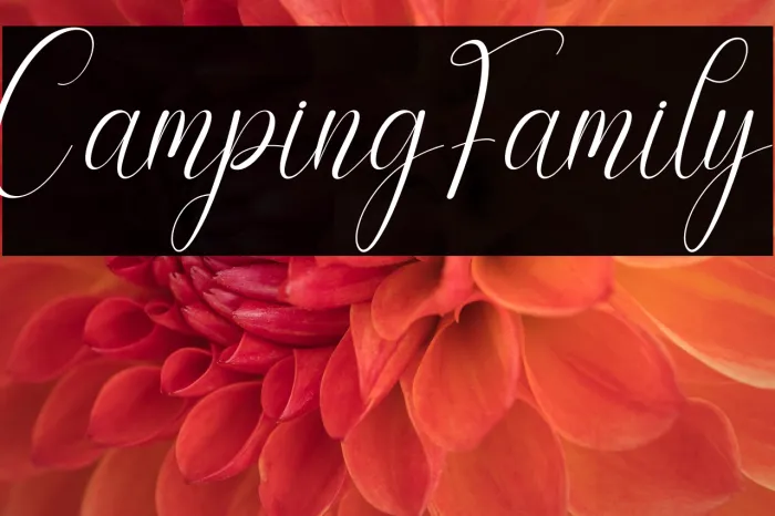 Camping Family Example 2